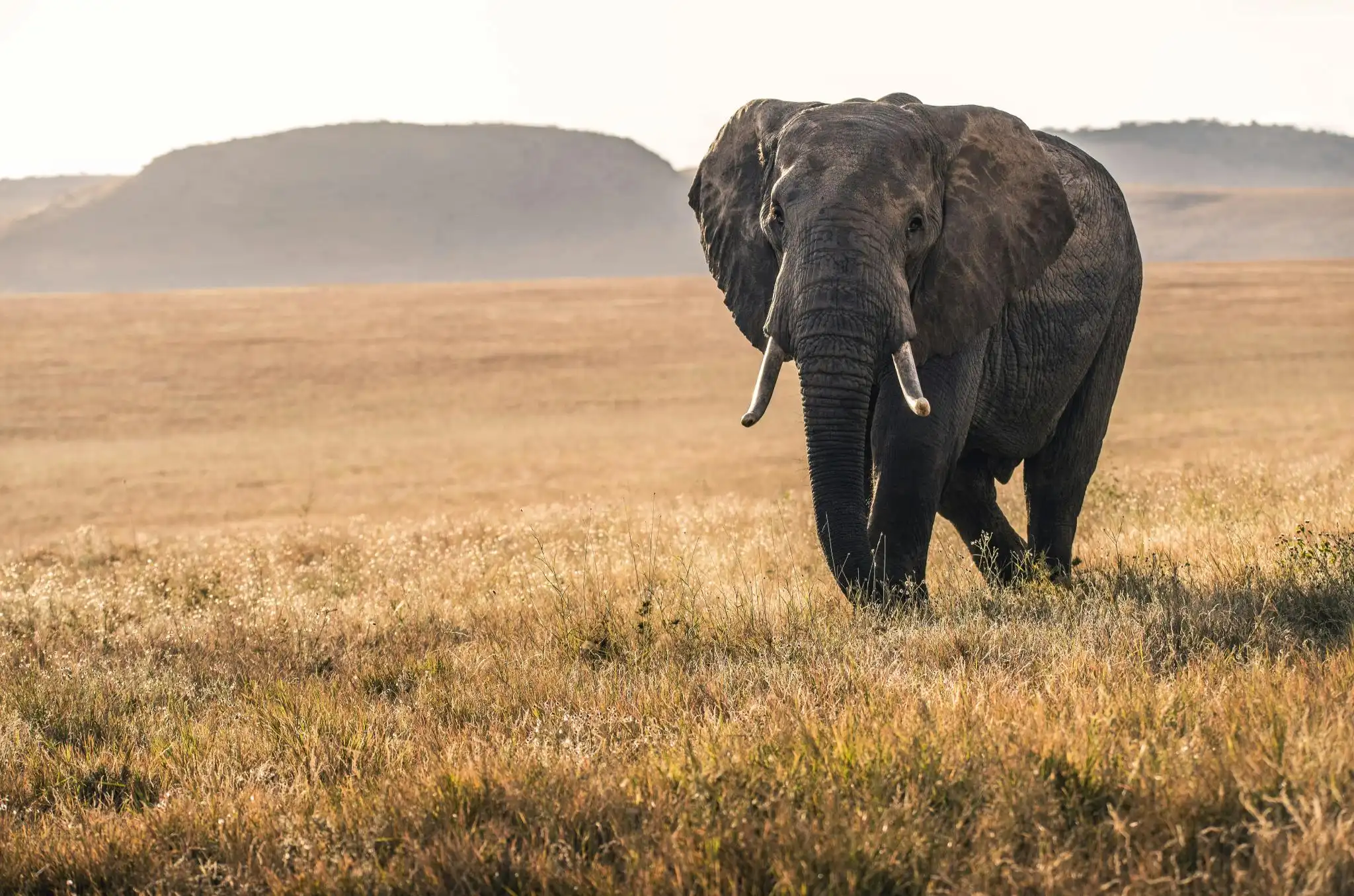 africa southernAfrica