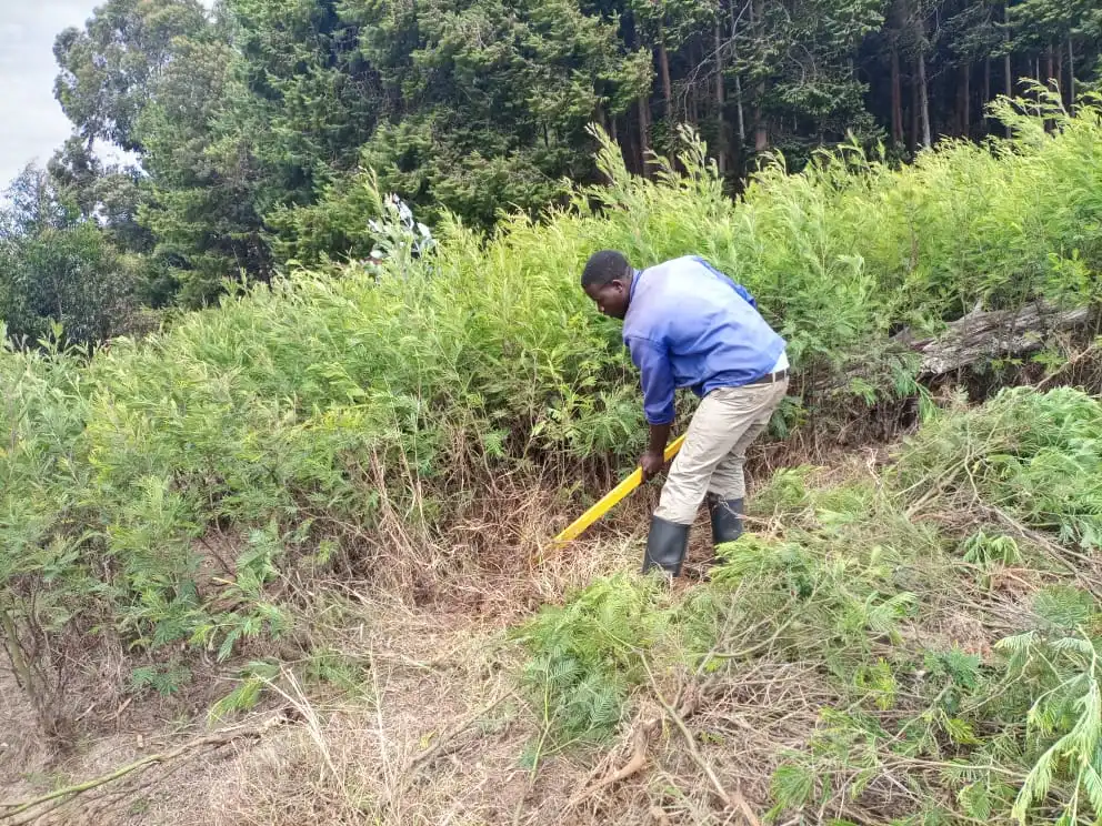 Invasive Alien Species Management
