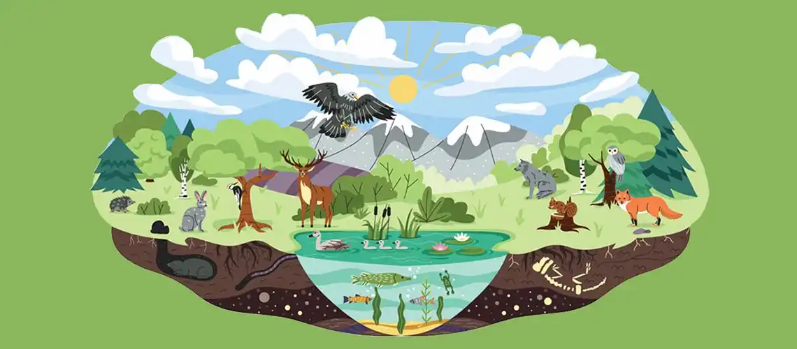 biodiversity-conversation-illustration.webp