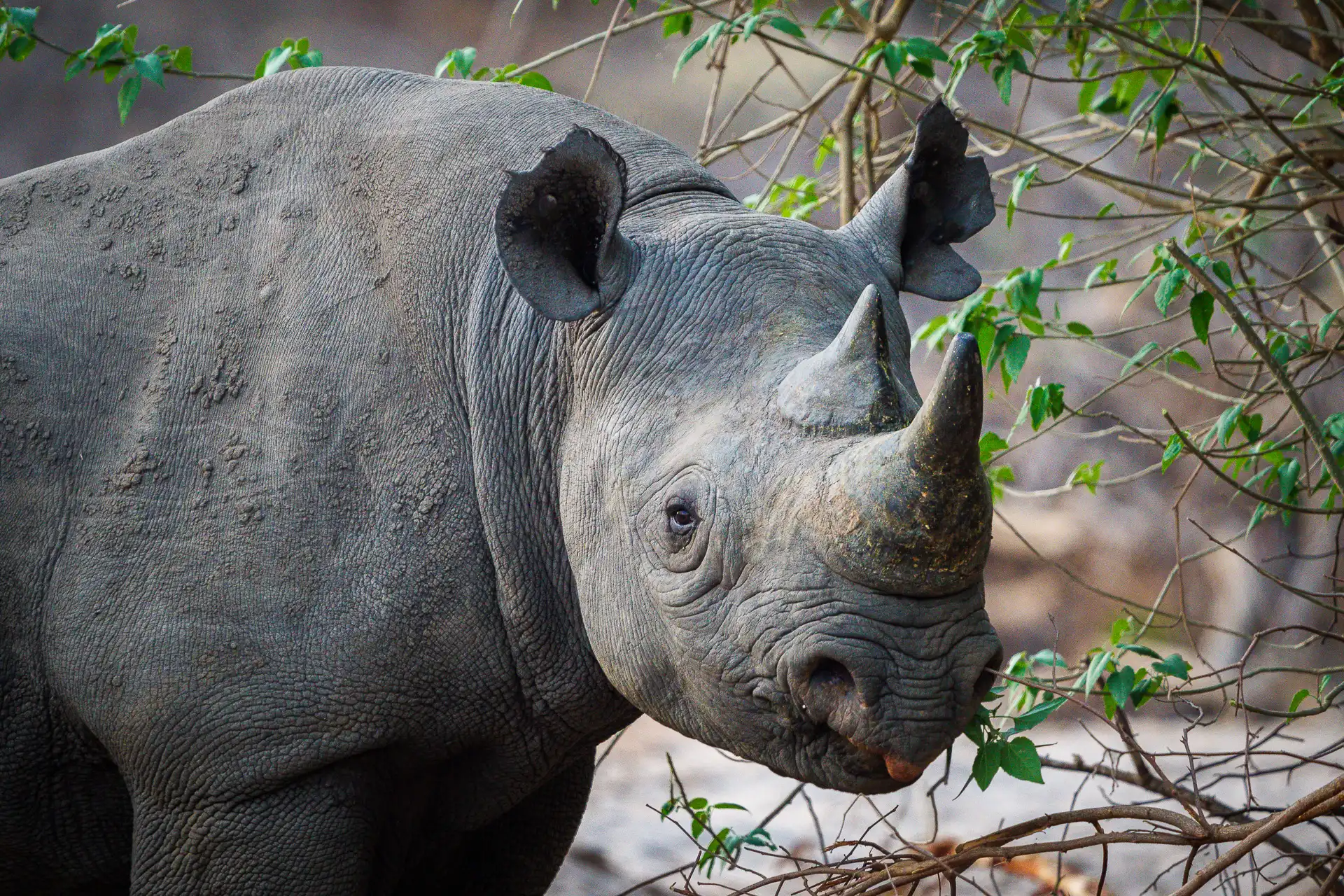malawi-travel_2024.jpg