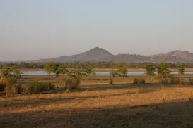kazuni_1.jpg